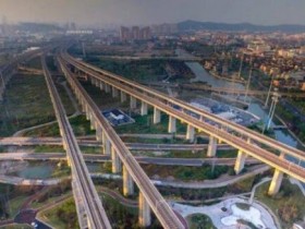 简要回顾一下,国家卫生健康委发布关于印发软骨发育不全等86个罕见病病种诊疗指南(2025年版)的通知